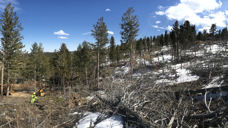 Fire Mitigation