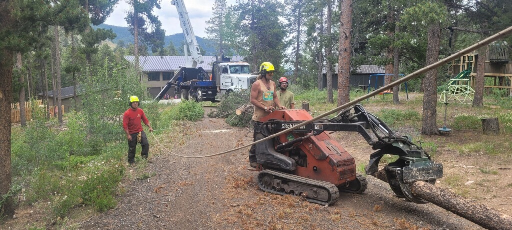 Land Clearing