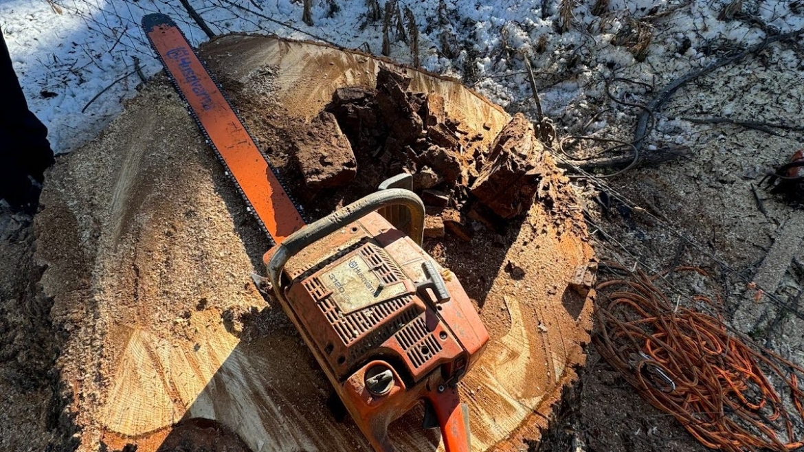 Stump Grinding