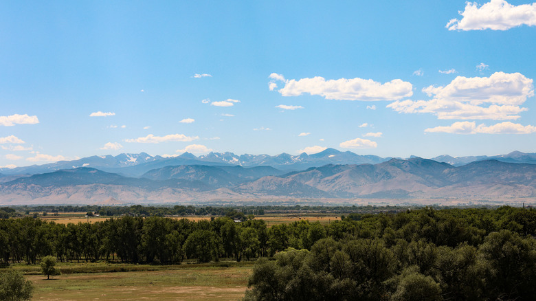 View of the Front Range mountains and open fields near Longmont, Colorado, with cottonwood and prairie trees in the foreground.