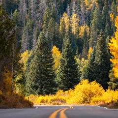 peak to peak peak to peak