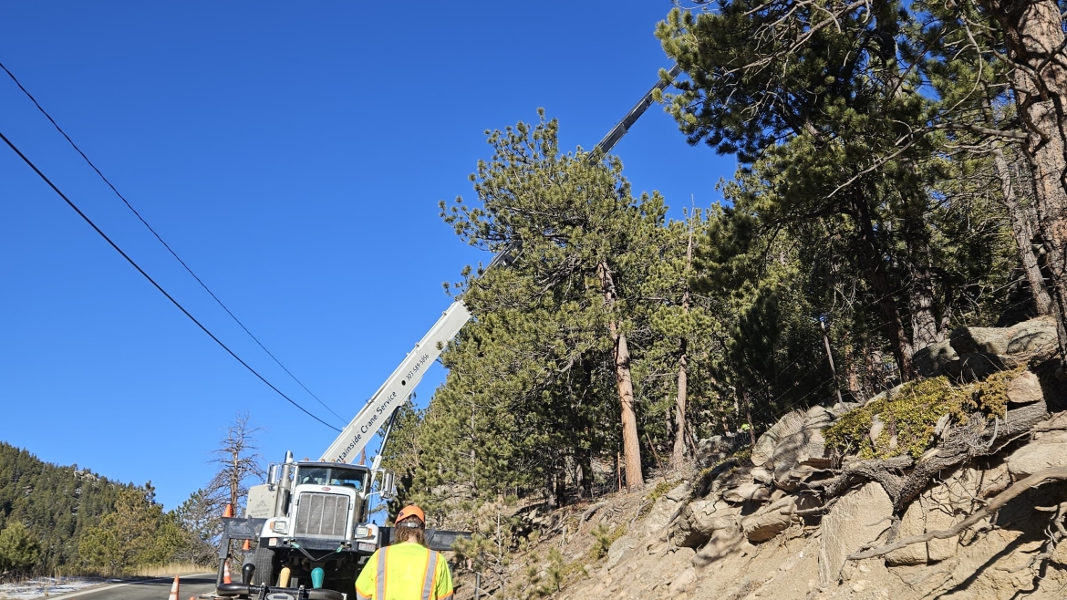 Stump grinding service removing tree stump from residential yard