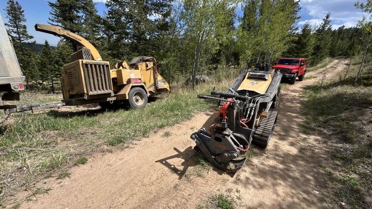 Stump grinding vs stump removal comparison on residential property