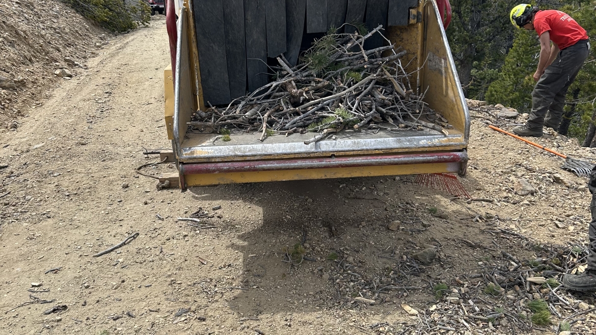 Emergency tree removal in Colorado after storm damage to residential property