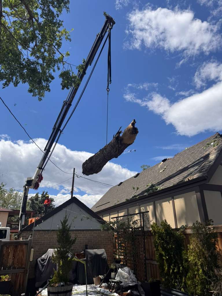 Emergency tree removal and storm damage cleanup services from Good People Tree Service, featuring professional arborists safely removing fallen trees and hazardous branches after severe weather in Colorado.
