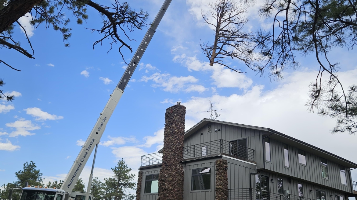 Hazardous tree near a home showing the hidden cost of delaying tree removal
