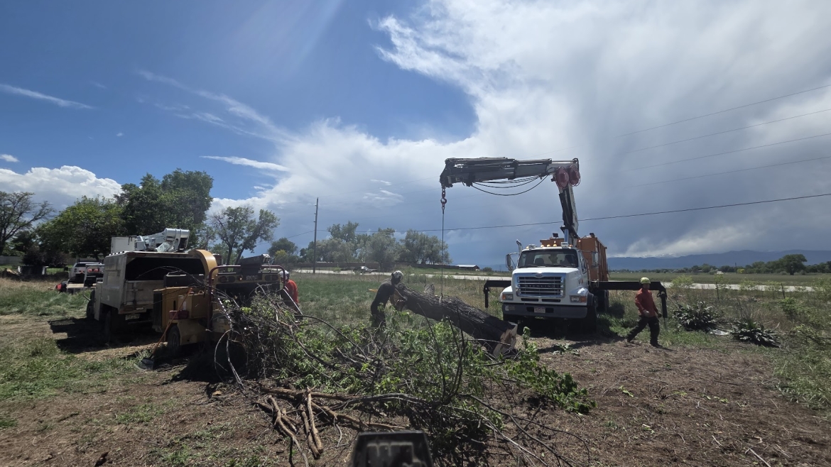 High wind tree damage in Colorado causing broken branches and property hazards