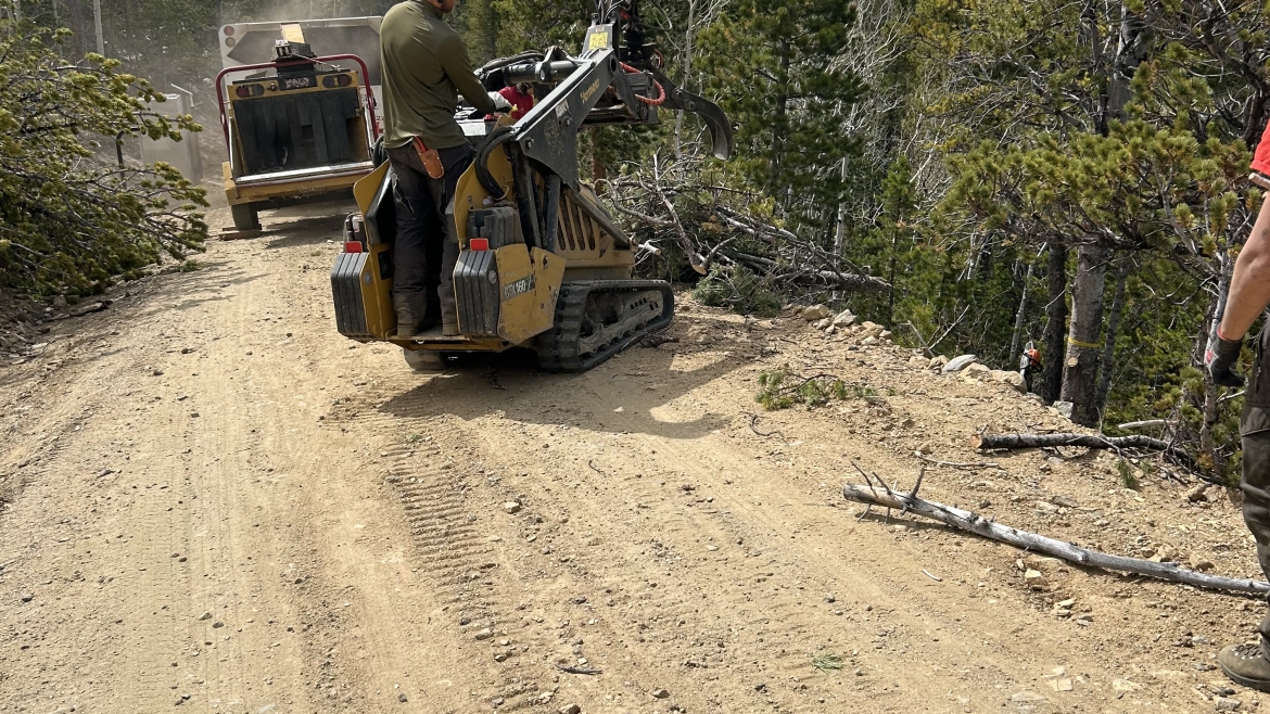 Emergency tree removal in Colorado after storm damage to residential property